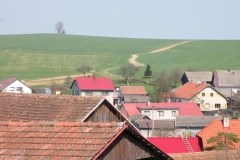 z_04